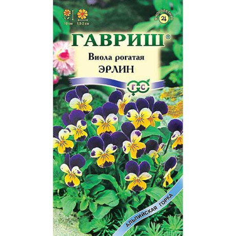 Виола рогатая Эрлин Гавриш Ц