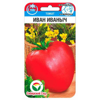 Томат Иван Иваныч СибСад