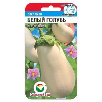 Баклажан Белый Голубь СибСад Ц