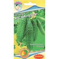 Огурец Искандер Наш сад Ц