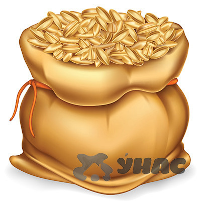 Редис Мелито 1000 шт. ФЛ Престиж