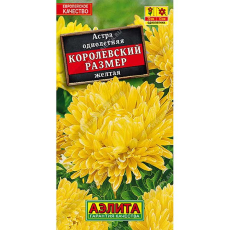 Астра Королевский размер желтая  Аэлита Ц