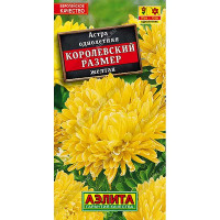 Астра Королевский размер желтая Аэлита Ц
