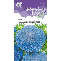 Астра Пампушка голубичная Гавриш Ц