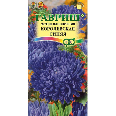 Астра Королевская синяя Гавриш Ц