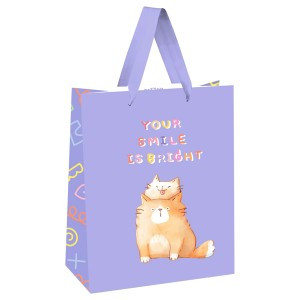 Пакет подарочный 26*32*12см MESHU "You are special", выборочный лак, белый крафт 354570