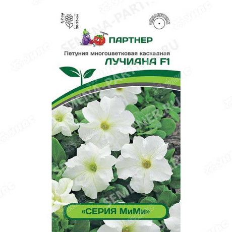 Петуния Лучиана Мими Партнер Ц