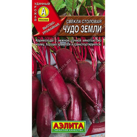 Свекла Чудо земли Аэлита Ц
