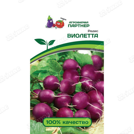 Редис Виолетта Партнер Ц