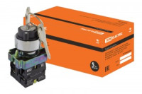 TDM BG45 перекл. черн. 2 положения с ключом 1з+1р (10!) SQ0703-0009