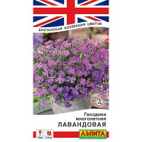 Гвоздика Лавандовая многолетняя Аэлита Ц