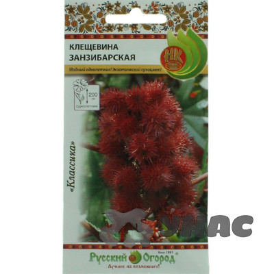 Клещевина Занзибарская НК Ц