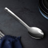 SATOSHI Диана Ложка нерж. сталь
