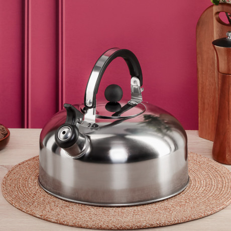 Чайник стальной 2,5л индукция