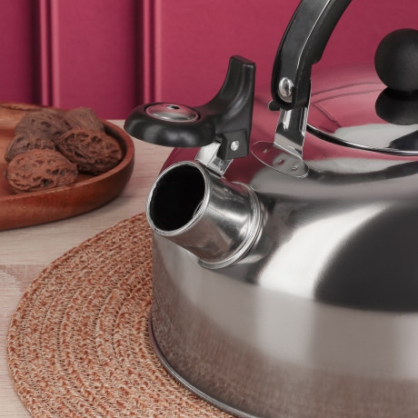 Чайник стальной 2,5л индукция