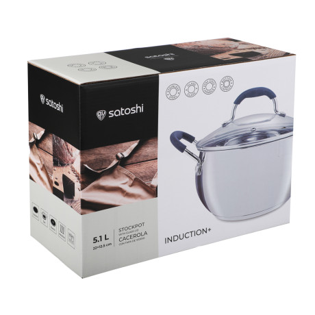 SATOSHI Альба Кастрюля 22х12,5см. 5,1 л. со стекл. крышкой, индукция