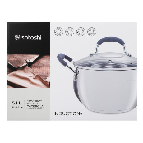 SATOSHI Альба Кастрюля 22х12,5см. 5,1 л. со стекл. крышкой, индукция