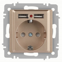 ЭРА Intro Accent мех. роз. СУ 1 мест. 16А 250В (земля, шторки + 2хUSB) шампань 6-410-04