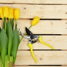 INBLOOM Секатор садовый, 20.5см, марганцевая сталь 65М, возвратная пружина, PР,TRP