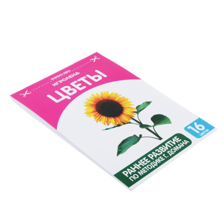 ИГРОЛЕНД Книжка обучающая по методике Г. Домана, бумага, 12х17см, 16 дизайнов