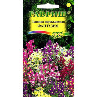 Льнянка марроканская Фантазия Гавриш Ц х10