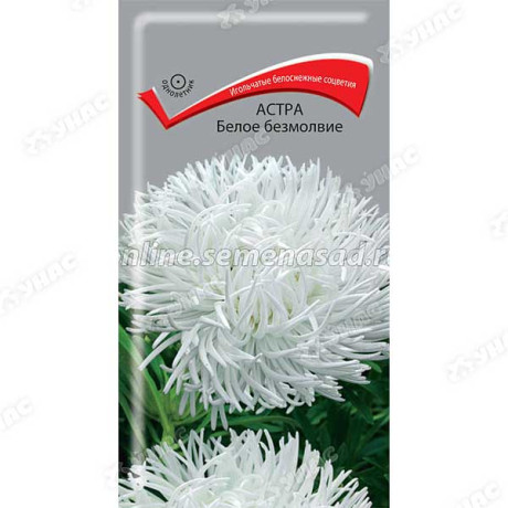 Астра Белое безмолвие Поиск Ц