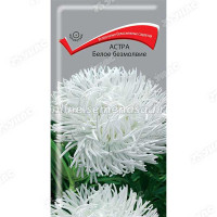 Астра Белое безмолвие Поиск Ц