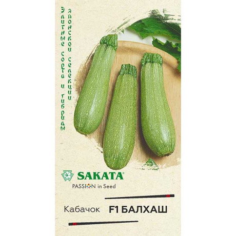 Кабачок Балхаш Гавриш Ц
