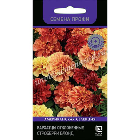 Бархатцы Строберри Блонд Поиск Ц