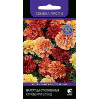 Бархатцы Строберри Блонд Поиск Ц