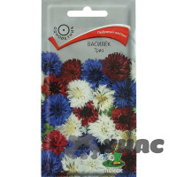 Василек Трио Поиск Ц