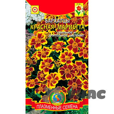 Бархатцы Красная Мариетта Плазма Ц