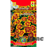 Бархатцы Красная Мариетта Плазма Ц
