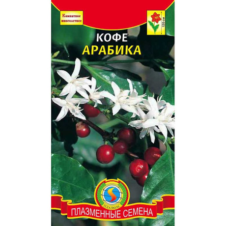 КОМ Кофе Арабика Плазма Ц