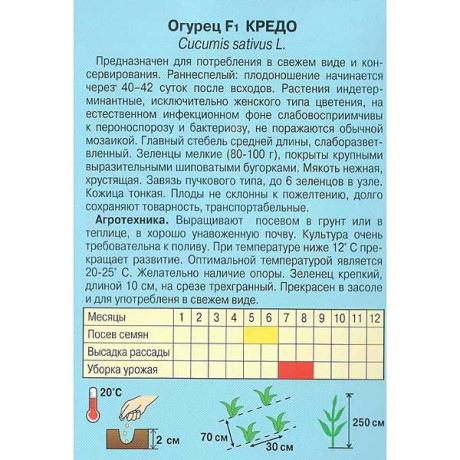 Огурец Кредо Наш сад Ц