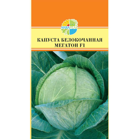 Капуста Мегатон Маринда/Акварель Ц