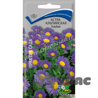 Астра альпийская Голубая Поиск Ц