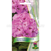 Пеларгония зональная Люстра Лавандер Поиск Ц