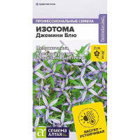 Семена Изотома Джемини Блю Семена Алтая Ц