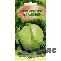 Капуста Трансфер Гавриш Ц