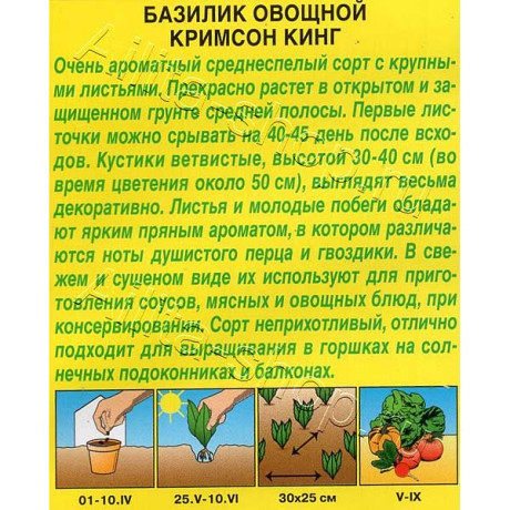 Базилик Кримсон кинг Аэлита Цх10