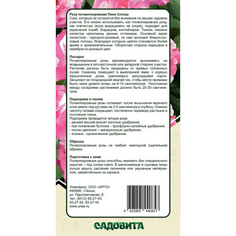 Роза почвопокровная Пинк сплэш Садовита