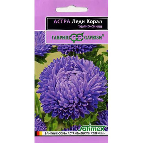 Астра Леди Корал Темно-синяя (эксклюзив) Гавриш Ц