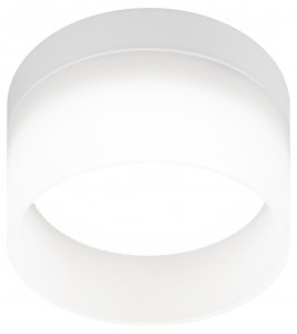 ЭРА GX53 DK98 WH св-к встр. d80х55(врез. d60мм) белый матовый алюм/акрил 3254