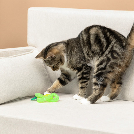 VETTA Игрушка для домашних животных, ПЭ