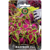 Колеус Фаервэй Роз Биотехника Ц