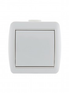 Lezard Ната выкл. ОУ 1 кл. 10А бел. (корпус PC) 710-0200-100