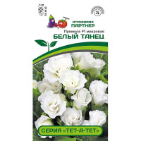 Примула Тет-а-Тет Белый танец Партнер Ц