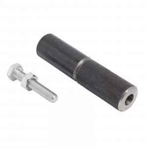 Киров Секрет Шарнир-петля 28х120 регулируемая с болтом, с запрес.шариком  (16)