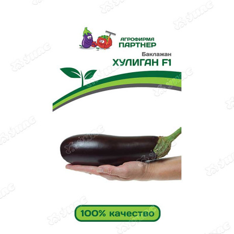 Баклажан Хулиган Партнер Ц